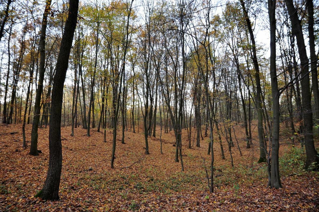 Modrzewiowe Wzgorze Villa Promno Luaran gambar