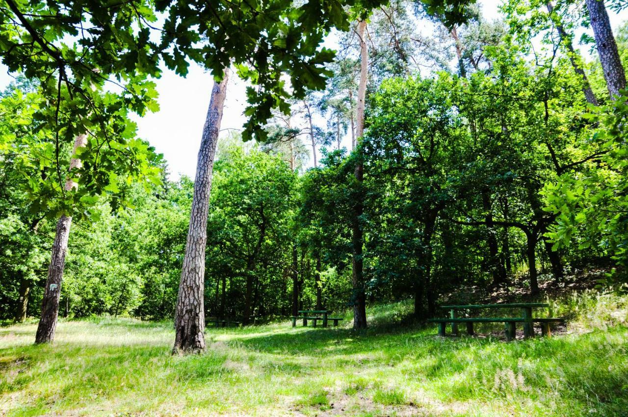 Modrzewiowe Wzgorze Villa Promno Luaran gambar